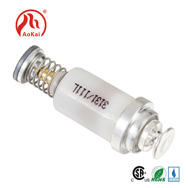Gasgeiser magnetische klep